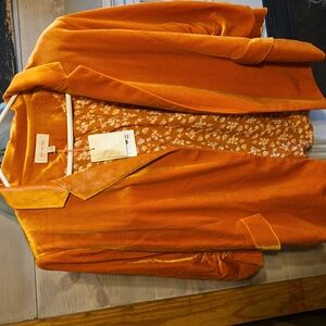 Golden Velvet-like Blazer
